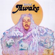 Álbum Awake de Jackal